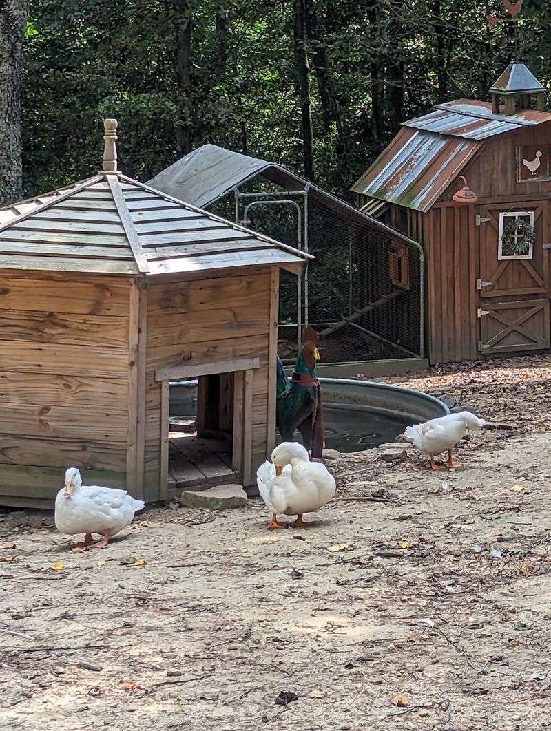 Ready To Find Your New Favorite Alabama Hidden Gem