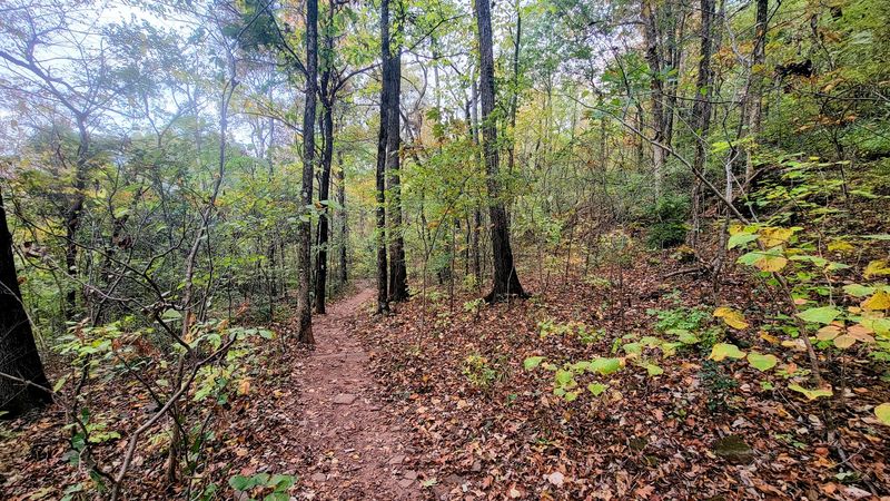 Ready To Find Your New Favorite Birmingham Outdoor Spot?