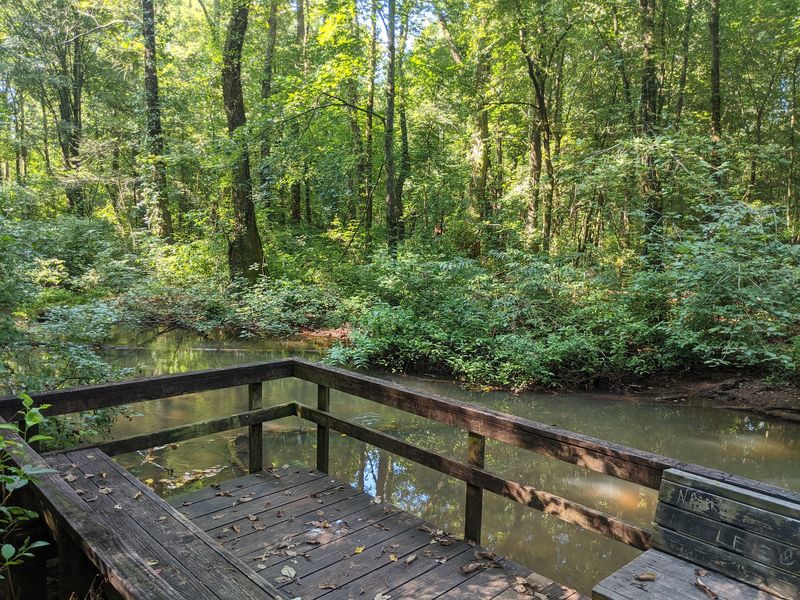 Ready to Find a Trail That Actually Feels Like a Discovery Ready to Find a Trail That Actually Feels Like a Discovery