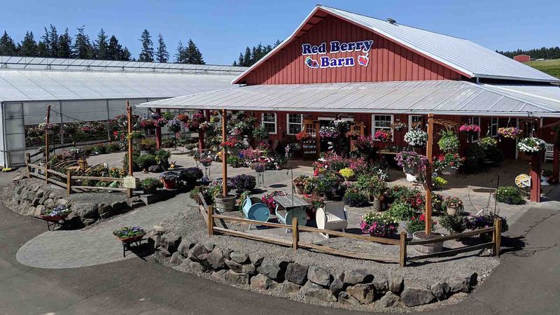 Red Berry Barn, Sherwood
