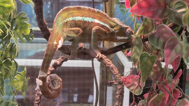 Reptiles, Rays and the Mini Zoo Hiding Past the Exit