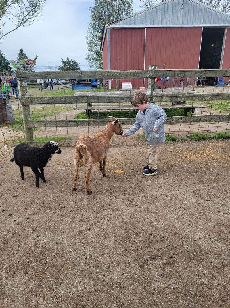 Rescued Animals Get Second Chances Rescued Animals Get Second Chances