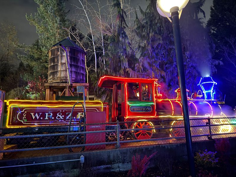 Riding The Little Railway Through The Woods