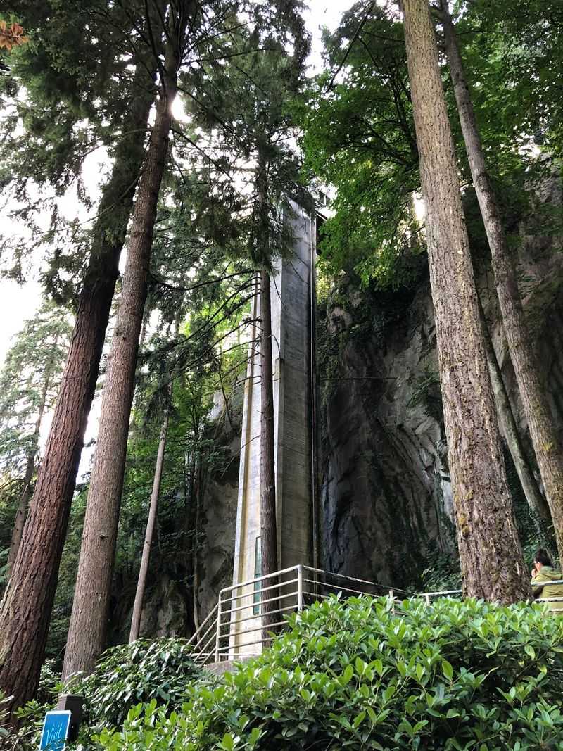 Riding the elevator up the rock face