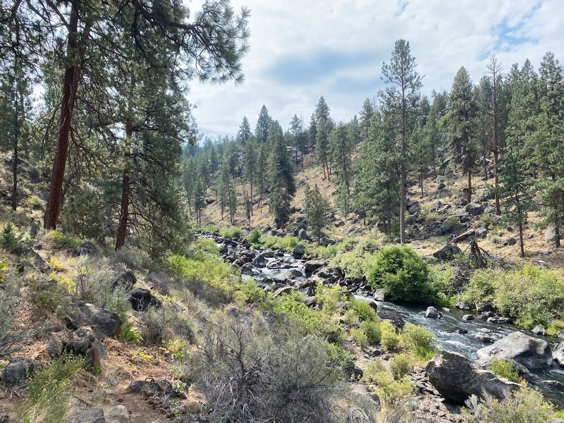 Riley Ranch Nature Reserve