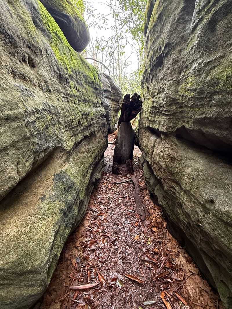 Rock Maze Trail in Garrett State Forest