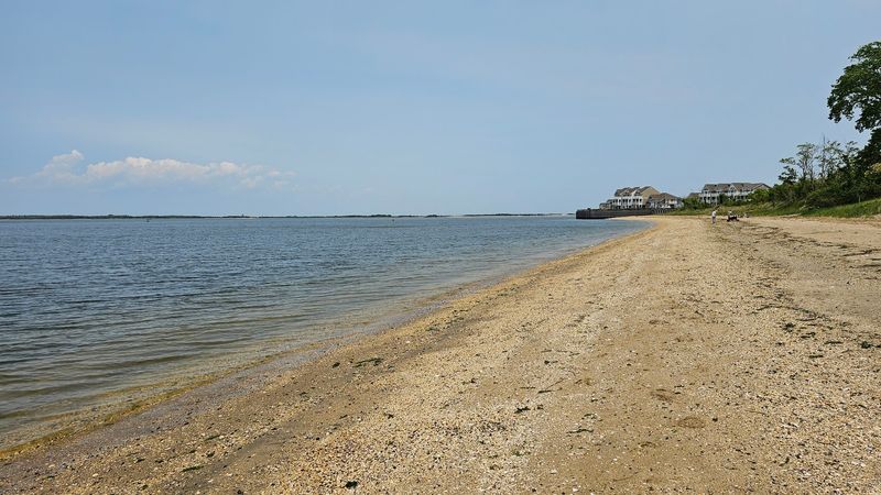 Rock and Shell Collecting for the Curious Visitor