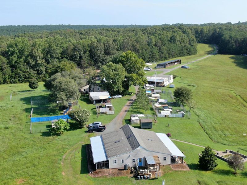Rolling Fields That Feel Like a Deep Breath