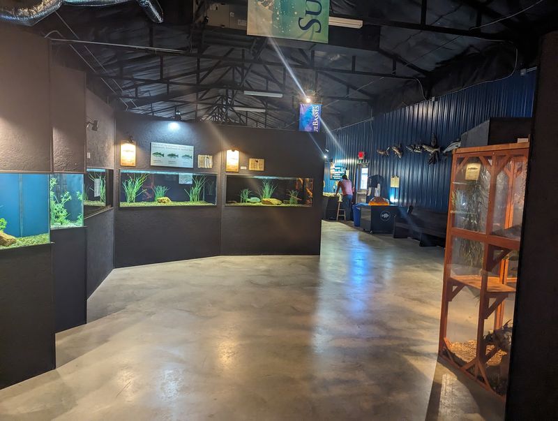 Rooms Full Of Wild Variety Rooms Full Of Wild Variety