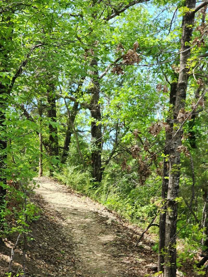 Rules of the Wild, Respecting the Landscape