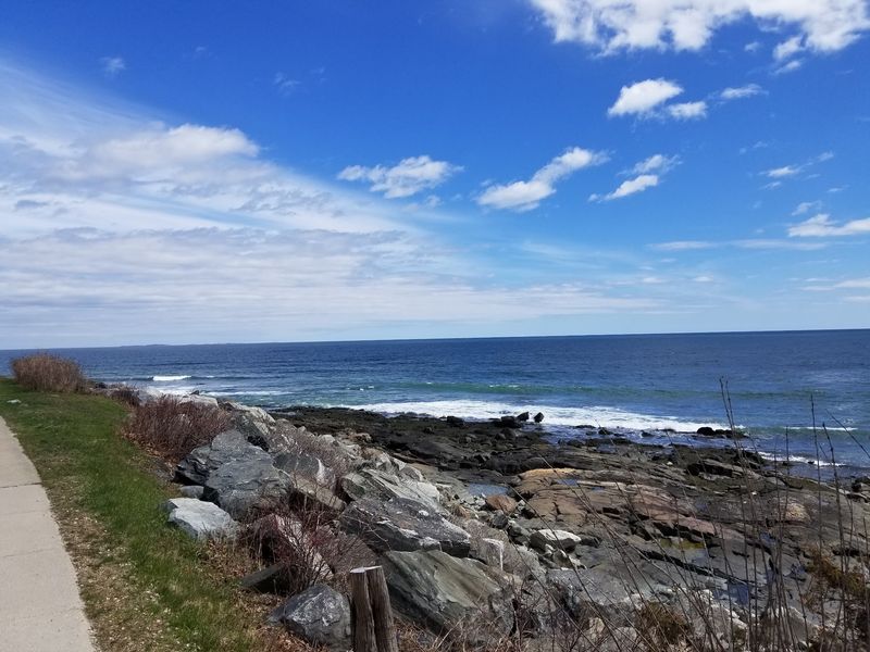 Rye and Its Surprising Ocean Jetty Visitor Rye and Its Surprising Ocean Jetty Visitor