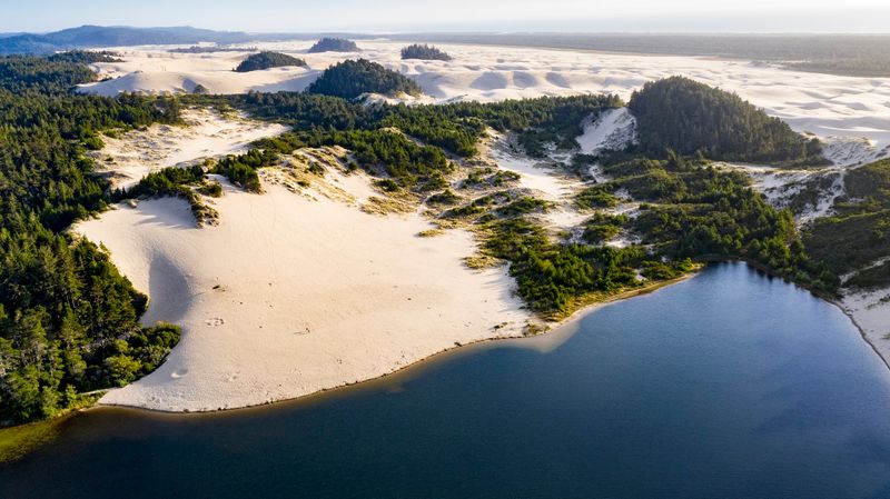 Sand Dunes Rising Right From the Shoreline