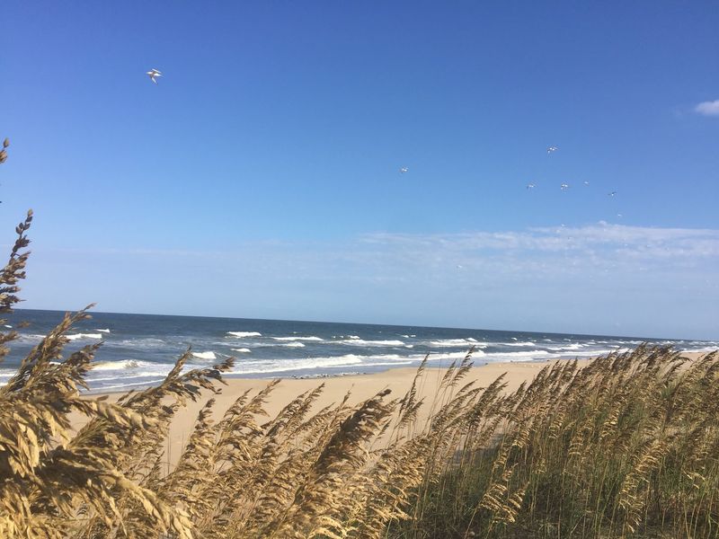 Sandbridge Beach
