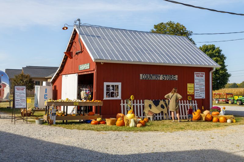 Savoring Every Bite of Farm-Fresh Flavors