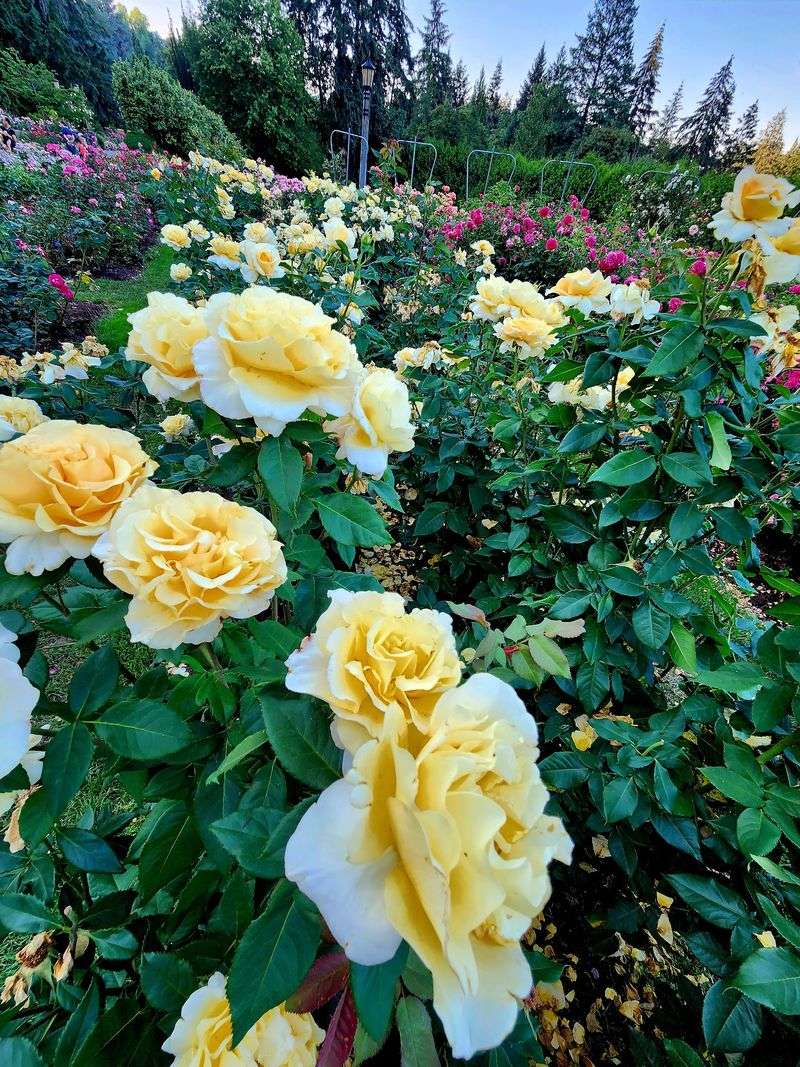 Scent Worth Slowing Down For