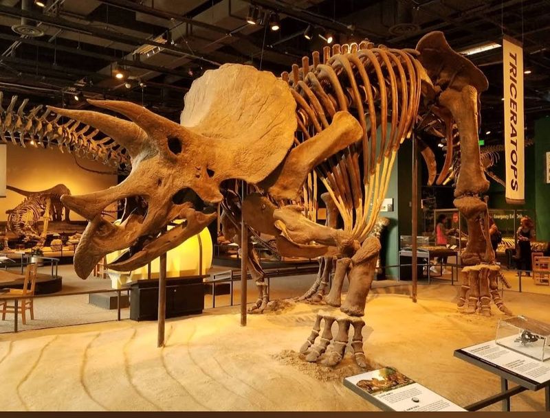 Science Museum of Minnesota, St. Paul