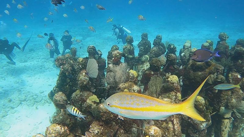 Sculptures That Double as Living Reefs
