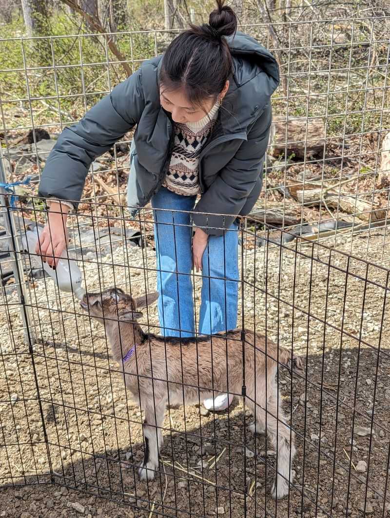 Seasonal Events And The Farmer For A Day Experience