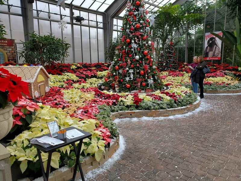 Seasonal Events and Shows That Keep Things Fresh All Year