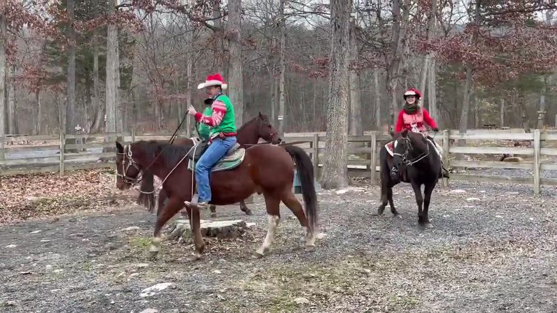 Seasonal Rides And Holiday Events Worth Planning Around Seasonal Rides And Holiday Events Worth Planning Around