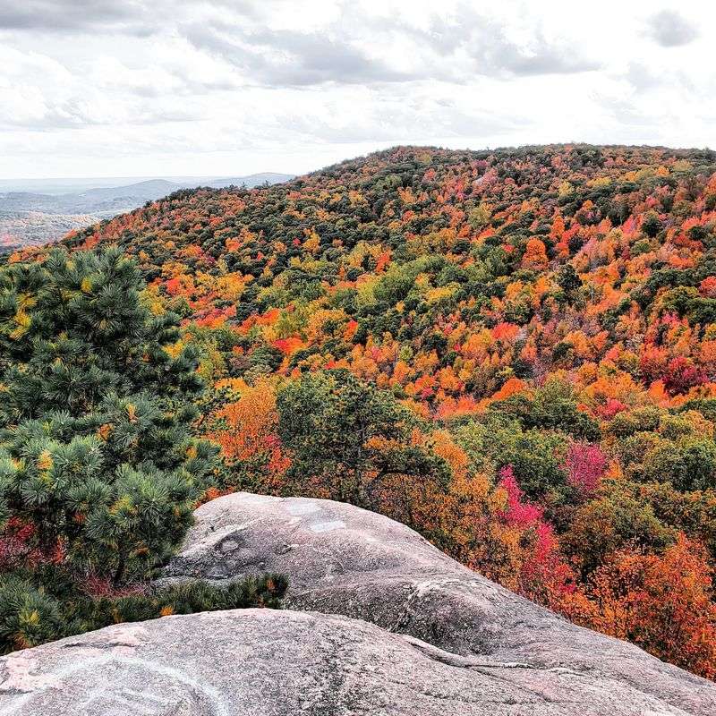 Seasons, Weather, and Choosing Your Day Seasons, Weather, and Choosing Your Day