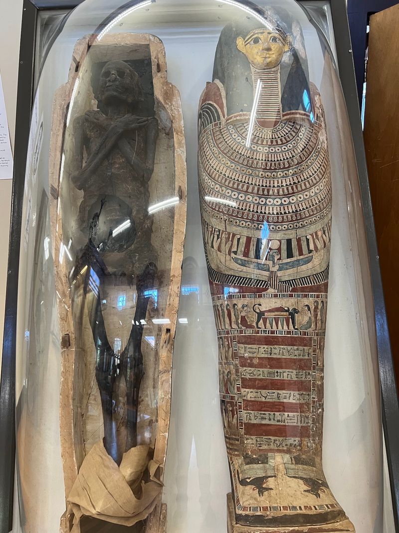 See a Real Egyptian Mummy for Free