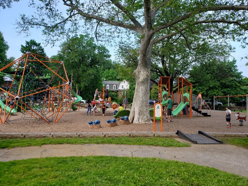 Serenity and Adventure in Local Parks