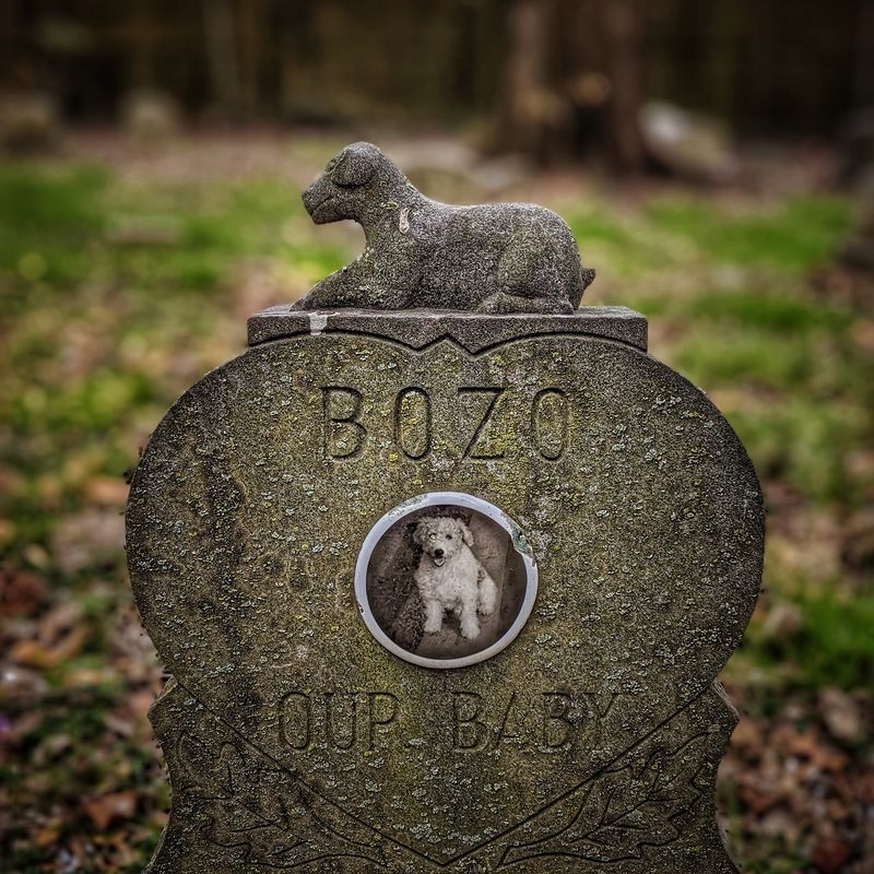 Seven of J. Edgar Hoover's Dogs Rest Here Too