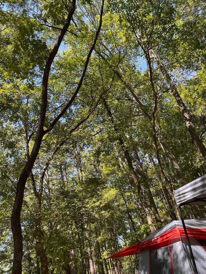 Shaded Campsites That Feel Like Real Camp
