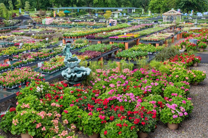 Shrubs, Perennials, and Annuals in Abundance