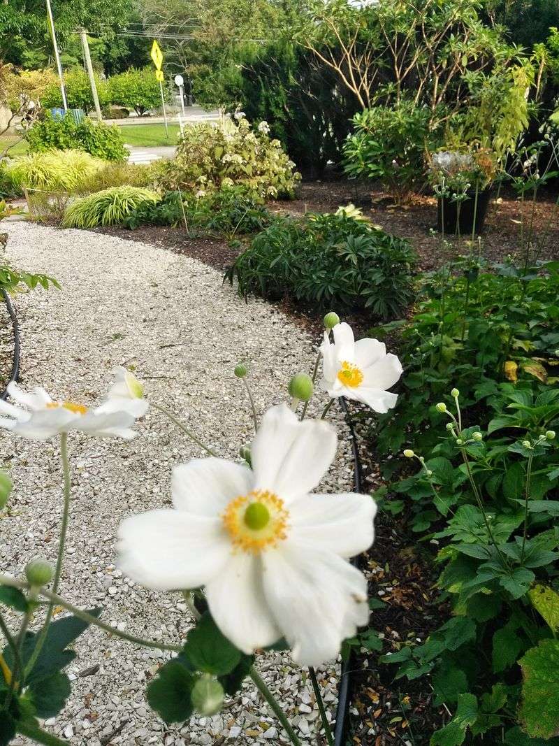 Simple Courtesies That Keep It Lovely