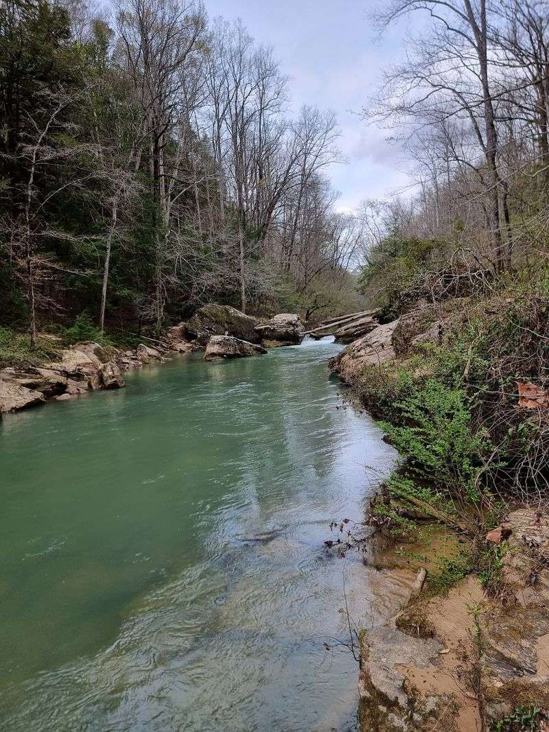 Sipsey Wilderness, Where Alabama Drew Its First Line in the Sand