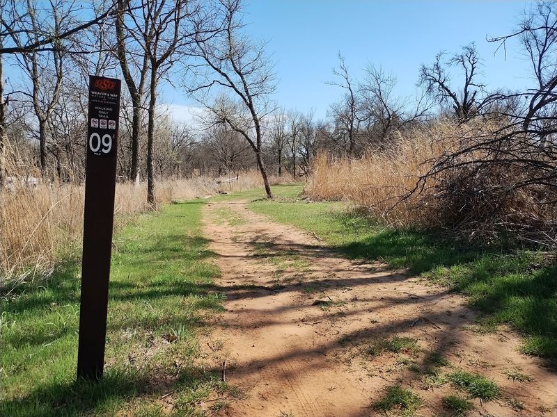 Sixty-Plus Miles Of Trails Waiting Around The Shoreline Sixty-Plus Miles Of Trails Waiting Around The Shoreline