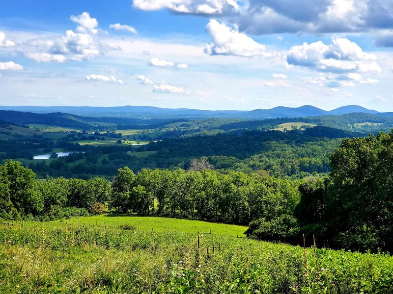 Sky Meadows State Park, Paris