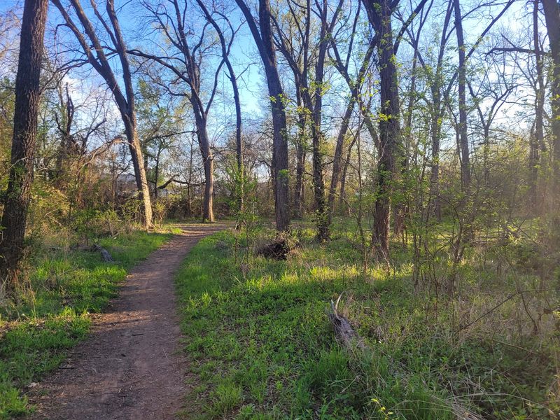 Smooth Ground And Easy Miles