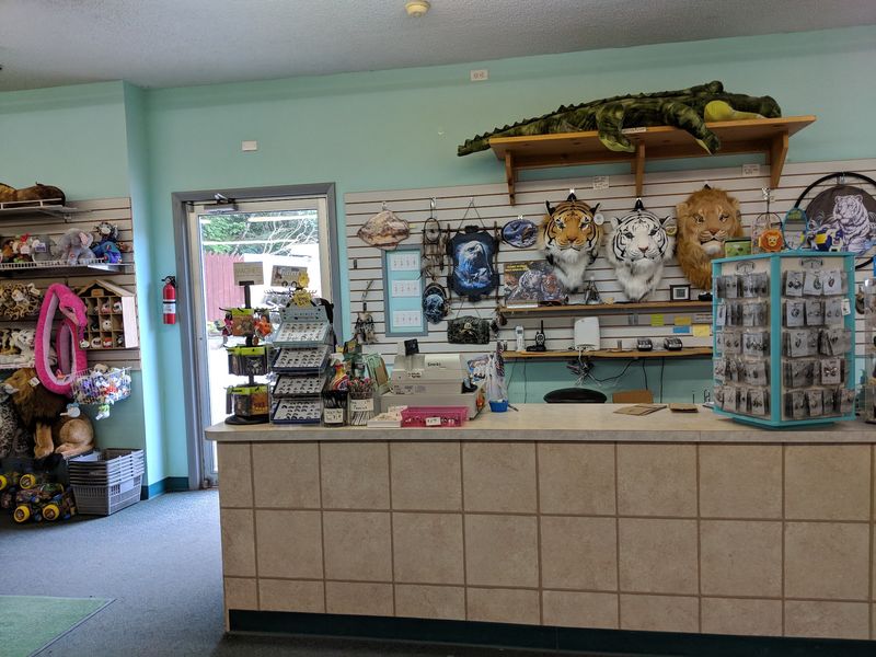Snack Breaks, Souvenirs, and Planning Your Visit
