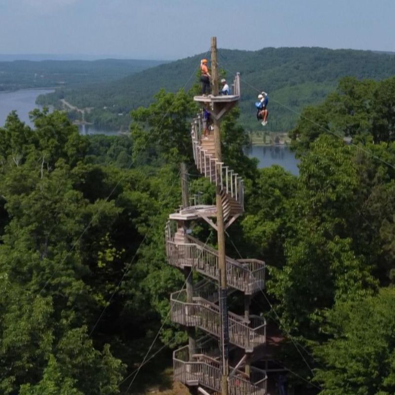 Soaring Through the Skies at Lake Guntersville Soaring Through the Skies at Lake Guntersville
