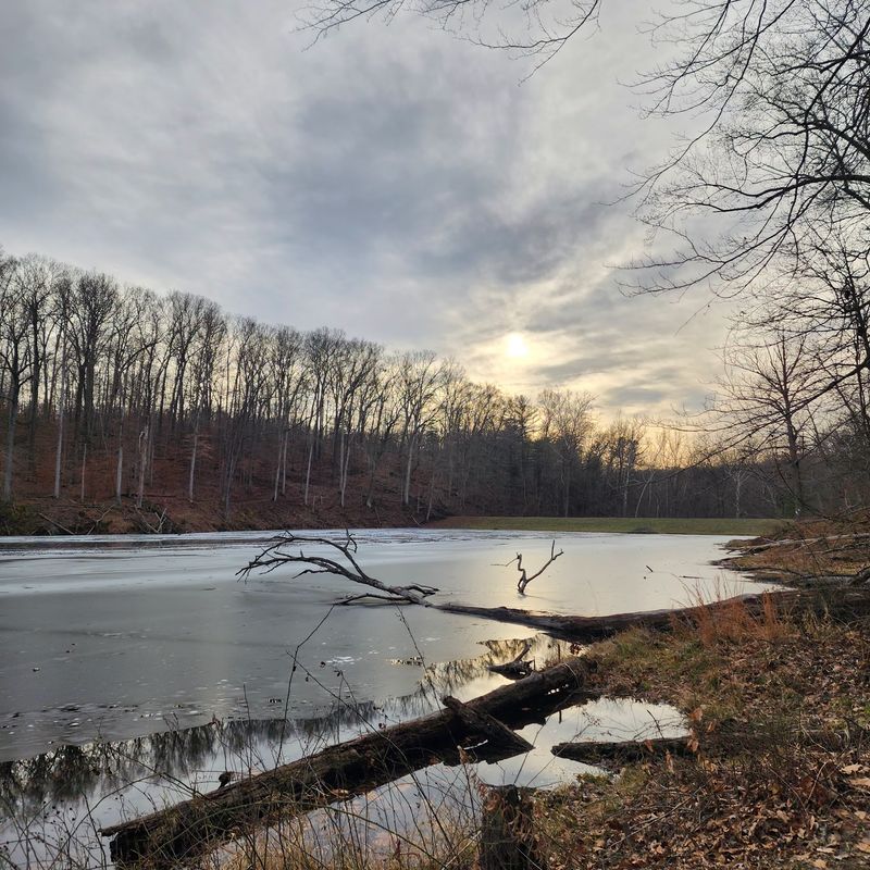 Solitude, Fall Color, And Diamond Blazes Solitude, Fall Color, And Diamond Blazes