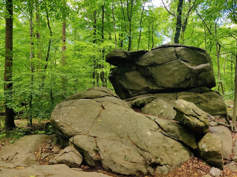 Sourland Mountain Preserve