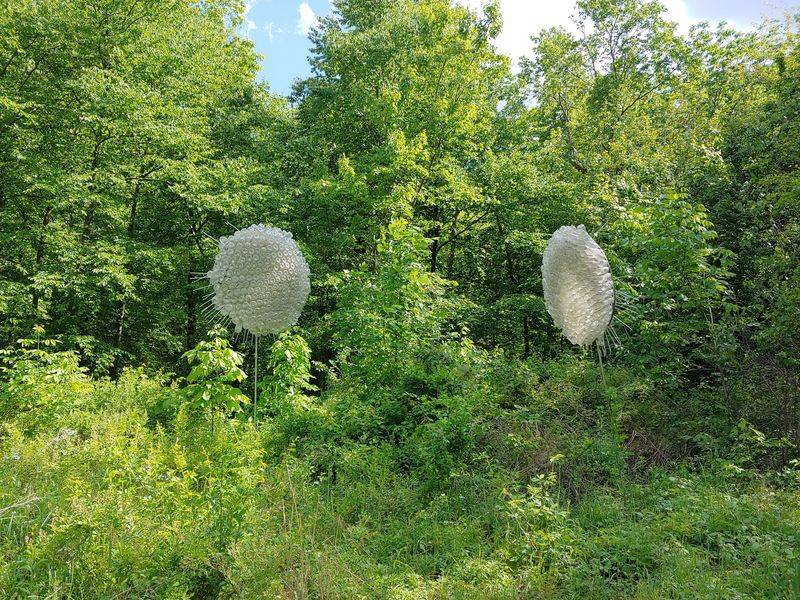 South Mountain Reservation, A Bigger World Just Beyond the Trails