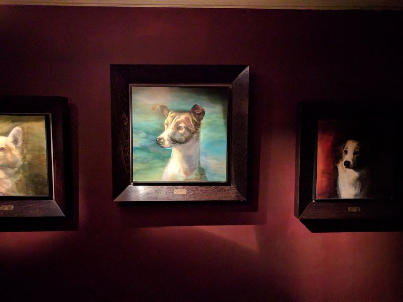 Space Dogs, Diatoms, and Other Delightful Detours