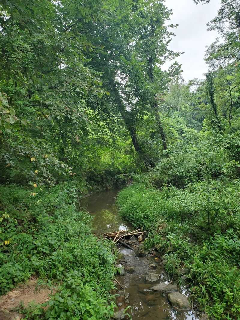 Springs That Once Watered A Whole Town Springs That Once Watered A Whole Town