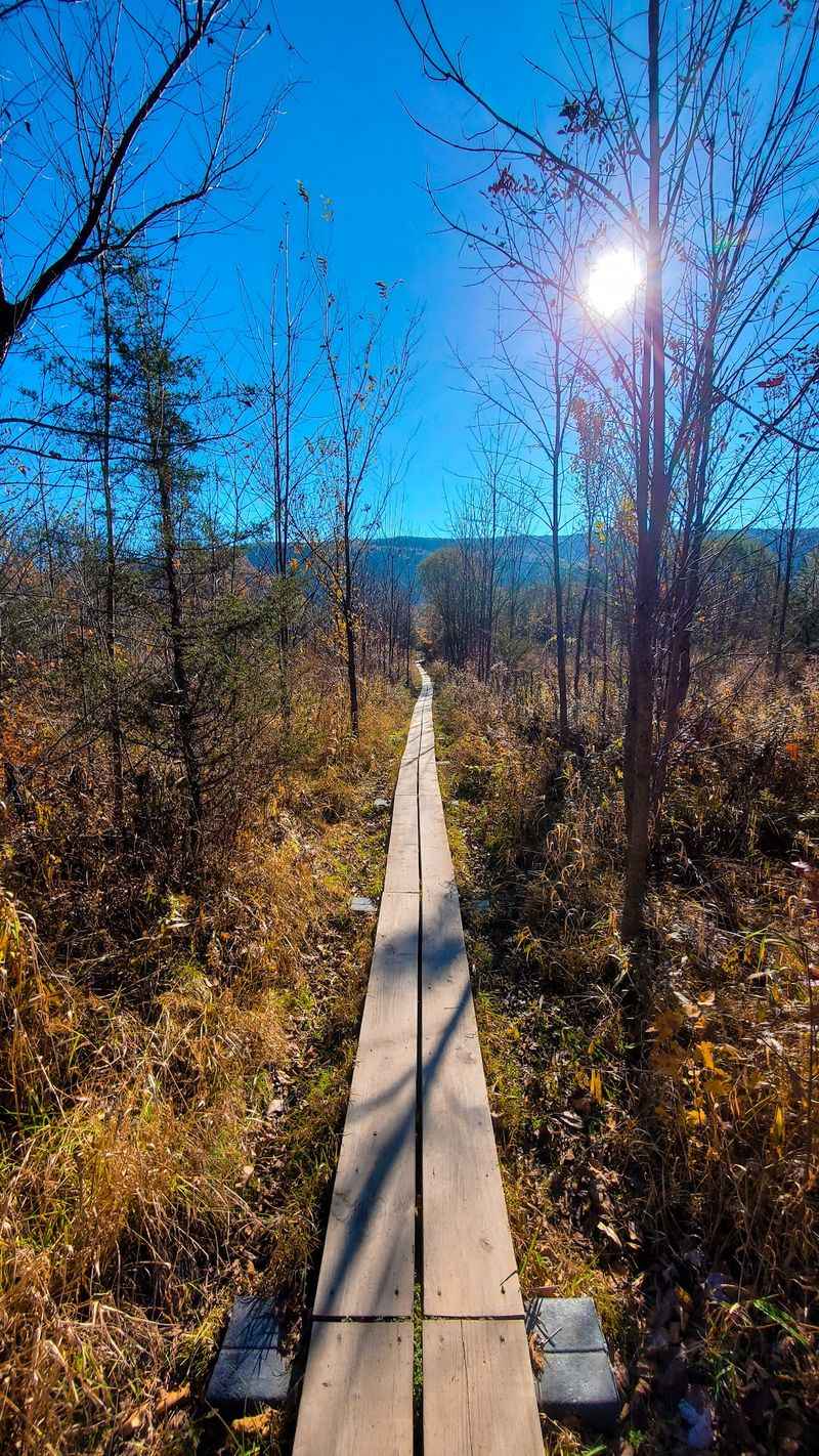 Stairway To Heaven Trail Stairway To Heaven Trail