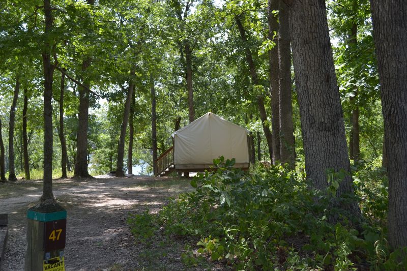 Staying Overnight Under The Trees
