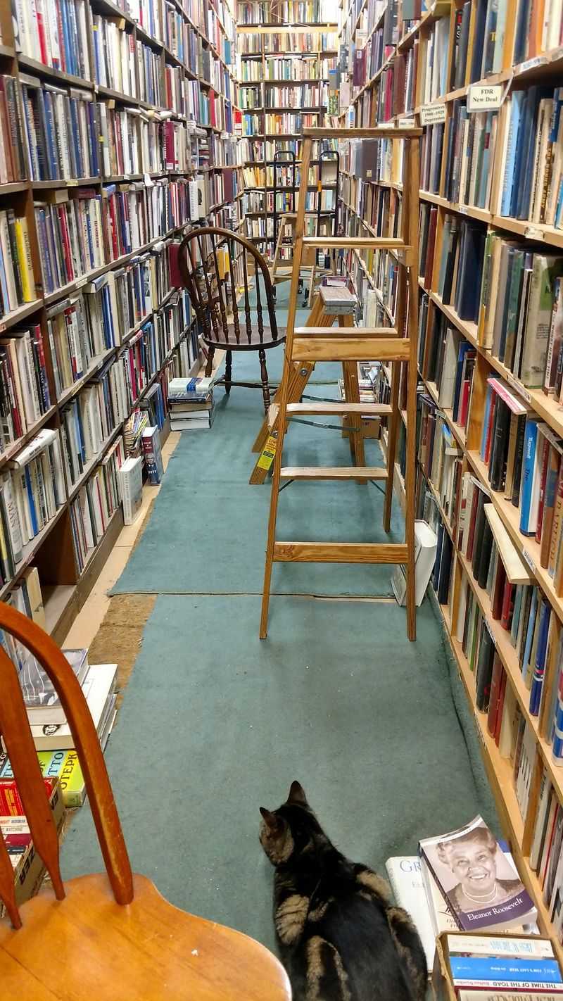Stepping Into a World of Words Stepping Into a World of Words