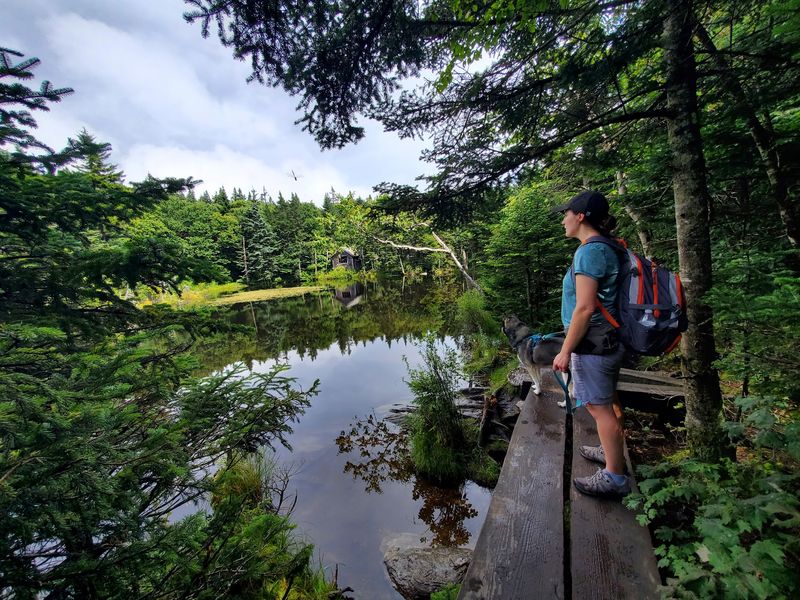 Steps From The Appalachian Trail