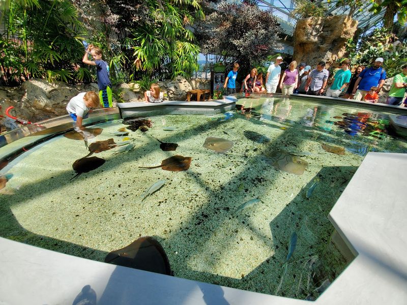 Stingray Bay and the Strange Feeling of Wet Sandpaper Stingray Bay and the Strange Feeling of Wet Sandpaper