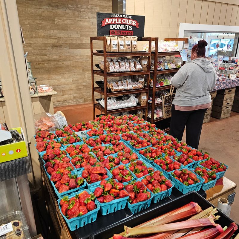 Strawberry Season Kicks Off The Year