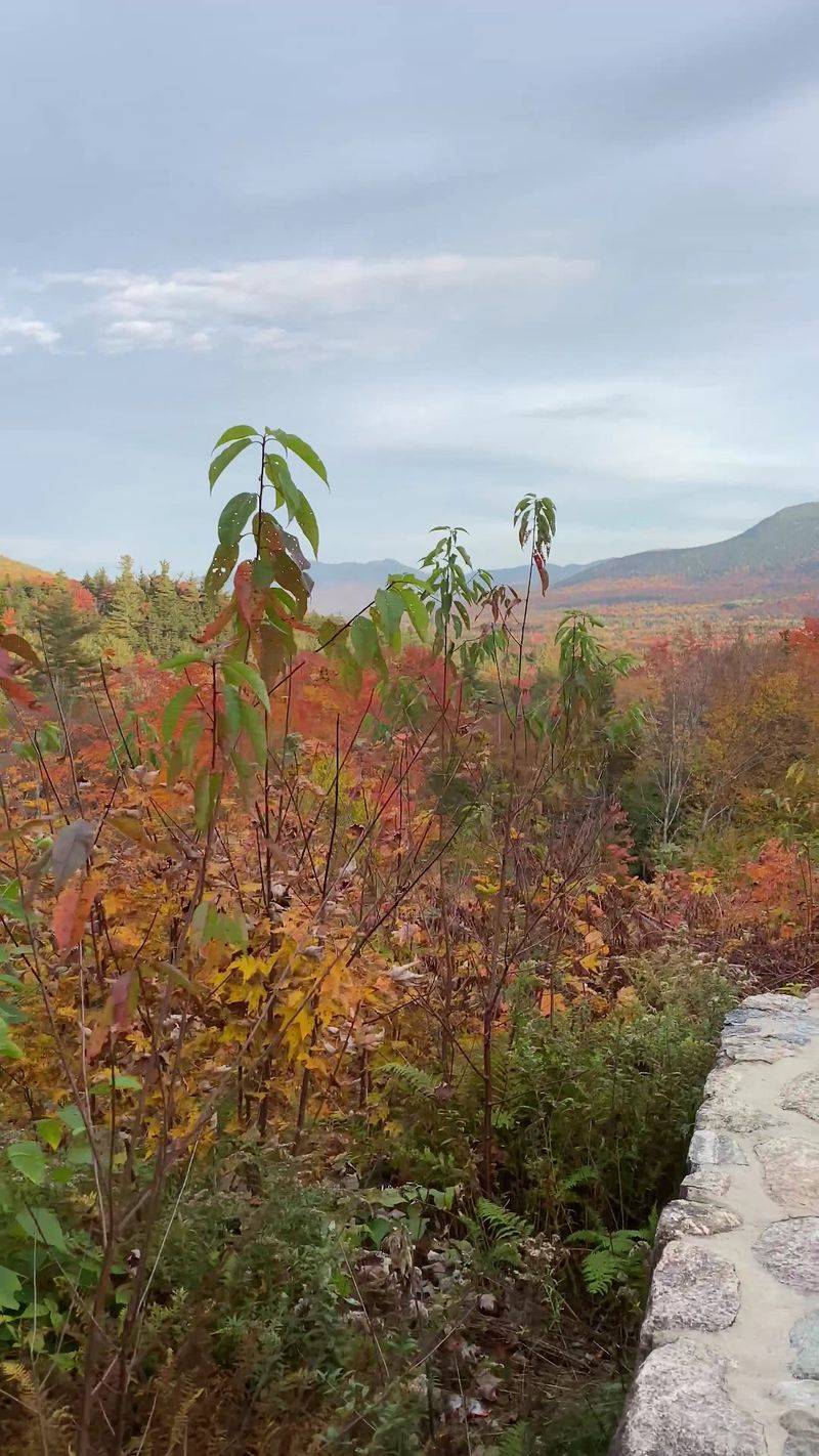 Sugar Hill, Purple Fields and Long Ridge Views