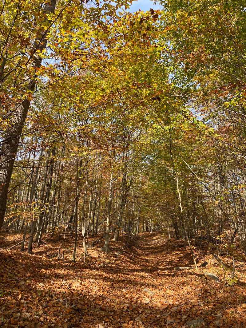 Sugarloaf Mountain, Yellow Trail Sugarloaf Mountain, Yellow Trail